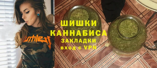 мдпв Магас