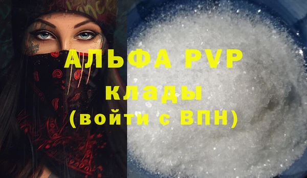 индика Дедовск
