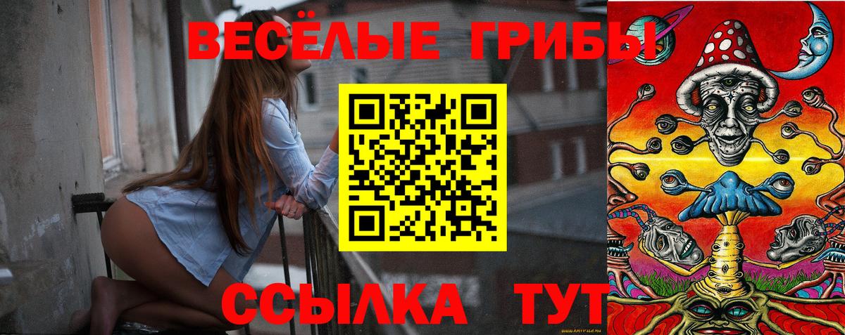 наркота  Луховицы  Галлюциногенные грибы мицелий  Галлюциногенные грибы Psilocybine cubensis 