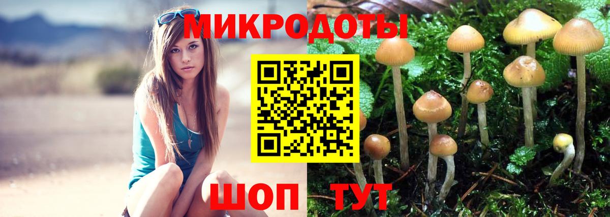 Псилоцибиновые грибы мицелий Луховицы